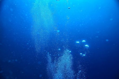 Понад 99% морських глибин усе ще залишаються загадкою для людства, – дослідження