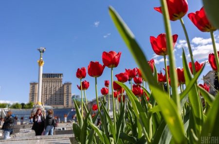 До України повертається тепло: де і коли розігріє до +29 °С