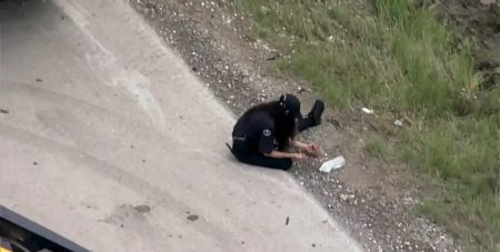 800 тисяч доларів на дорозі: жваву трасу засипало монетами після аварії