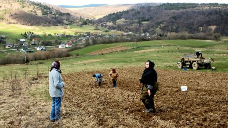 В українців можуть забрати не приватизований город: як врятувати свій клаптик землі