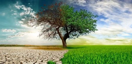 Як зміна клімату вплине на економіку України та світу у найближчі 25 років
