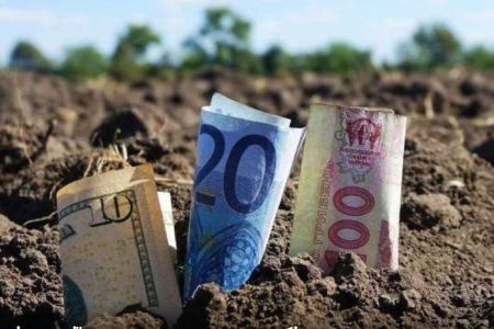 Приблизно 200 тисяч доларів за гектар: експертка розповіла, де в Україні найдорожча земля