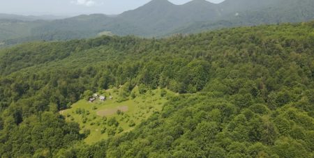 У горах знайшли будинок української бабусі: вона живе сама серед лісу