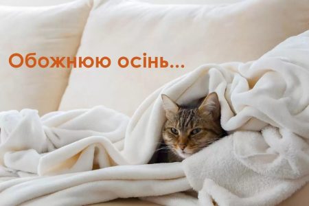 Далі літо – тільки за гроші. Мережею несуться яскраві меми про настання осені