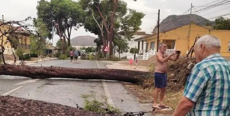 Ураган ламає дерева, як сірники: на Іспанію ринув “біблійний” шторм