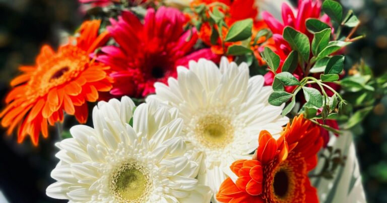 Що подарувати на День вчителя 2025 року: оригінальні, жартівливі, приємні та унікальні сюрпризи