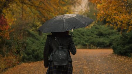 Погода в Україні різко зіпсується вже цього тижня: прогноз синоптиків