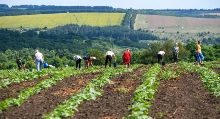 Дивовижно, але факт: попри війну, ціни на землю в Україні зросли всемеро