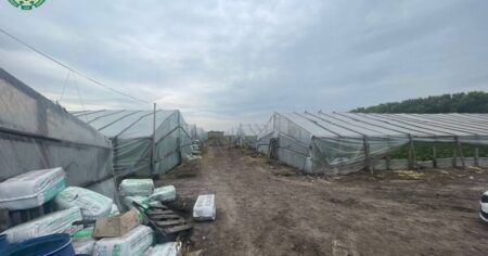 Під Києвом виявили “рабів” з Узбекистану: як вони жили і що робили