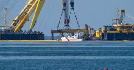 Хижаки на полюванні: зграя косаток нападає на яхти біля популярних курортів