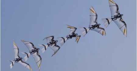 У Китаї створили “сокола”-робота, який може літати як живий птах