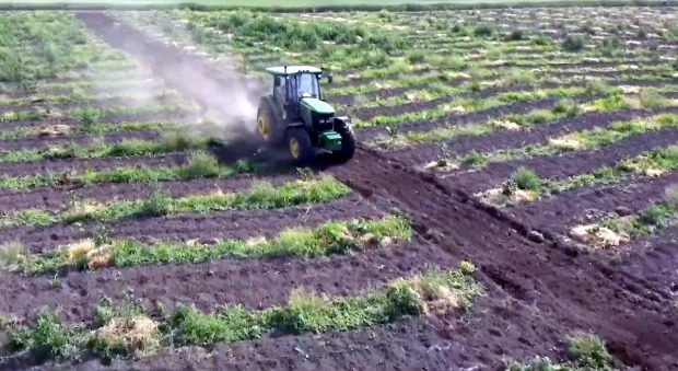 Останнє відбирають: в Україні впала ціна на землю, скільки коштує гектар