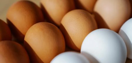 В Україні різко переписали ціни на яйця: скільки тепер коштує десяток