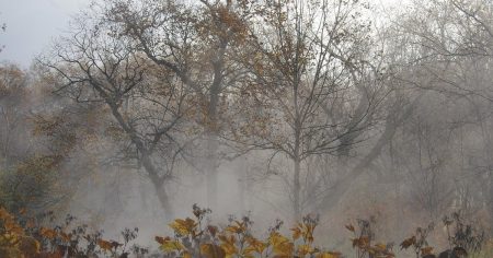 Якою буде погода в грудні: синоптик попередив про температурну аномалію на початку зими