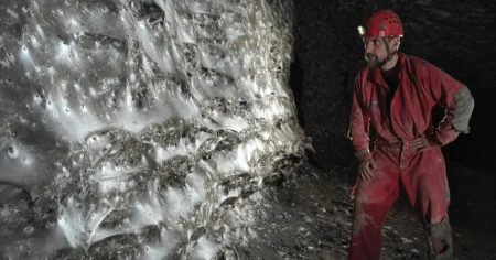Павучий мегаполіс: вчені знайшли найбільшу у світі павутину, сплетену десятками тисяч особин