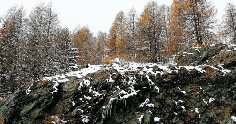 Грудень продовжує дивувати: прогноз погоди на сьогодні