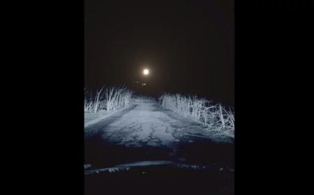Вчені спрогнозували, яким буде перший контакт людства з інопланетянами