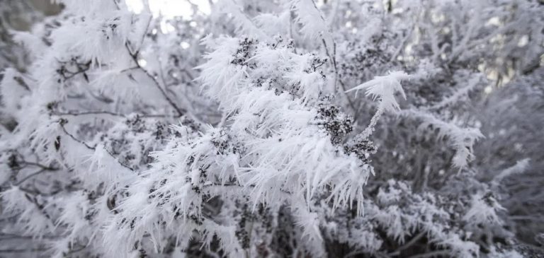 Мороз і дощ зі снігом: синоптики розповіли, яких примх чекати від погоди 13 грудня. Карта