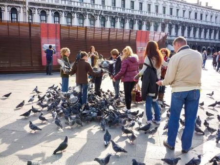У Європі туристів можуть оштрафувати на 1000 євро за безневинну дію: про що йдеться