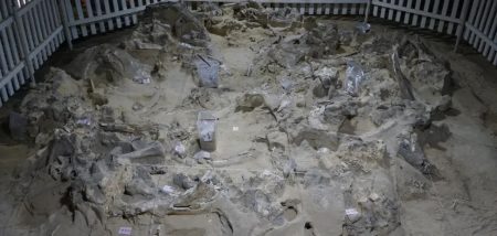 В Україні 18 тисяч років тому будували оселі із кісток мамонта: що дізналися вчені. Фото
