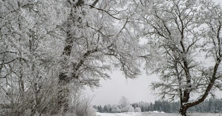 Морози посилюються: прогноз погоди в Україні на вихідні