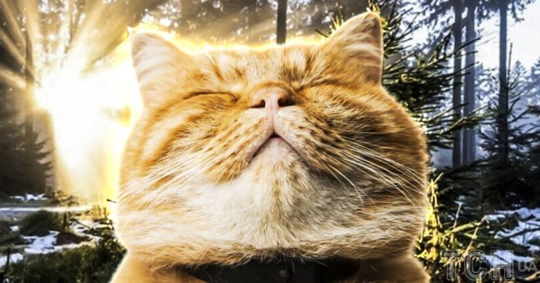 Морози йдуть на спад: синоптикиня назвала дату, коли до України прийде відлига