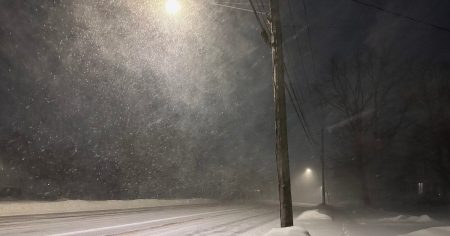 Чи справді можливі морози -30° в Україні: відповідь синоптикині