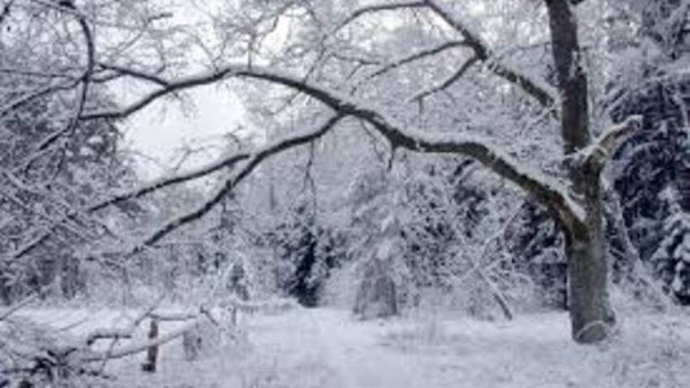 Морози до −24 і ожеледиця «до весни»: синоптик попередила українців про нову хвилю холоду