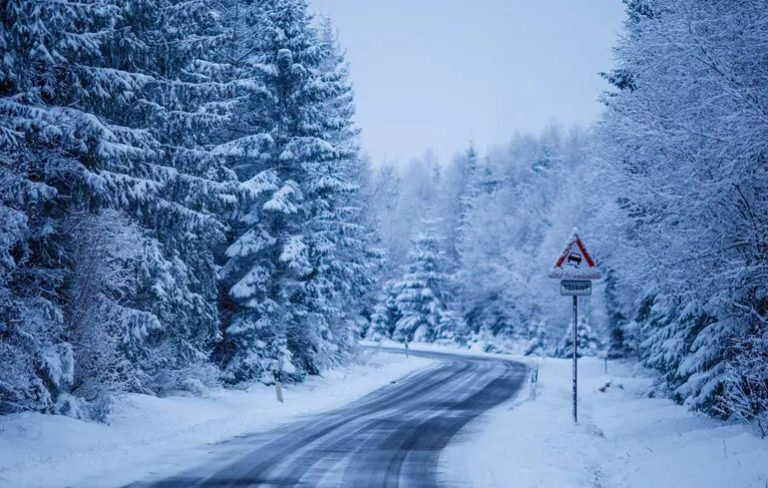 У Трампа заборонили слово «лід» — бояться мемів
