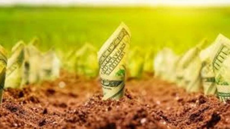 Українська земля різко дорожчає: коли продавати, щоб отримати подвоєну вигоду