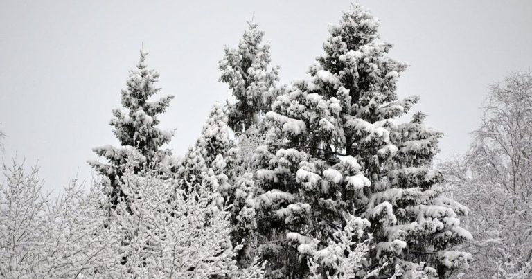 Погода на сьогодні: в Україні очікується потепління та сніг