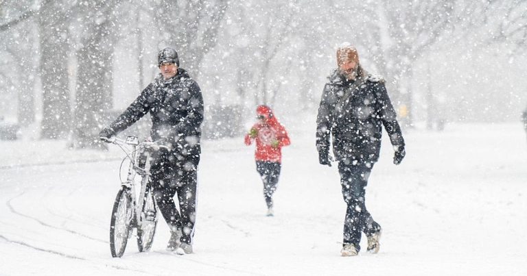 Насувається катастрофічний крижаний шторм: 100 млн людей у зоні небезпеки