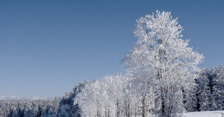 Якою погодою почнеться перший день 2026 року — прогноз