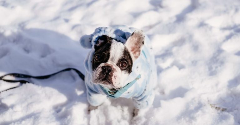 Температура опуститься ще нижче: синоптик прогнозує посилення морозу