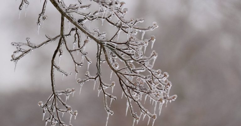 Якою буде погода в Україні у лютому: синоптики дали прогноз