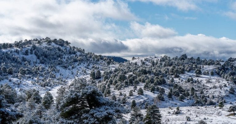 Січень показує свій характер: якою буде погода сьогодні