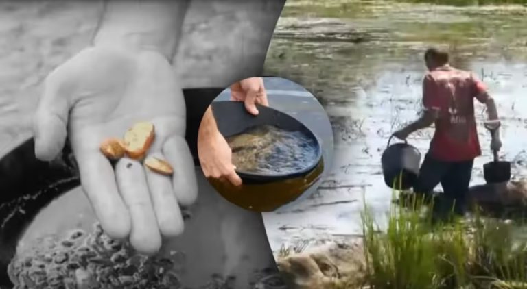 «Почалась золота лихоманка»: де в Україні найбільші поклади золота