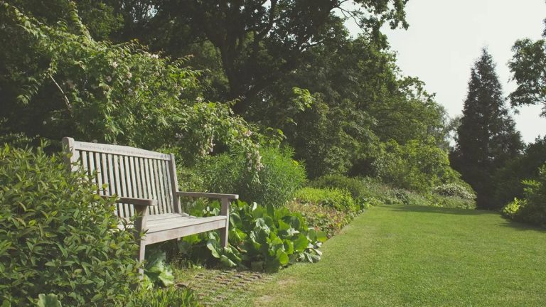 Приватизована земля теж під загрозою: коли держава може забрати ділянку