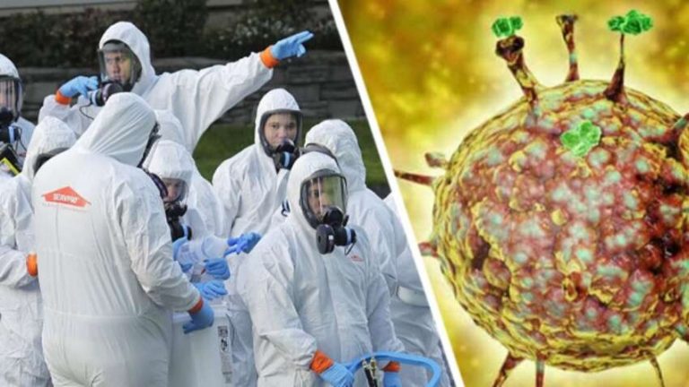 Смертельно небезпечний вірус Ніпа поширюєтсья по світу: ВООЗ підтвердила новий летальний випадок