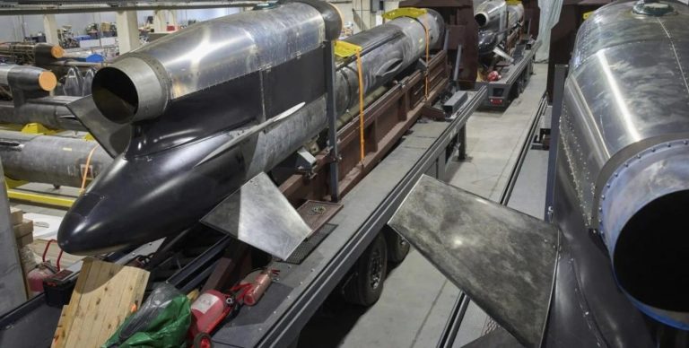 Розробники “Фламінго” анонсували ракету, яка долетить до Москви й Петербурга