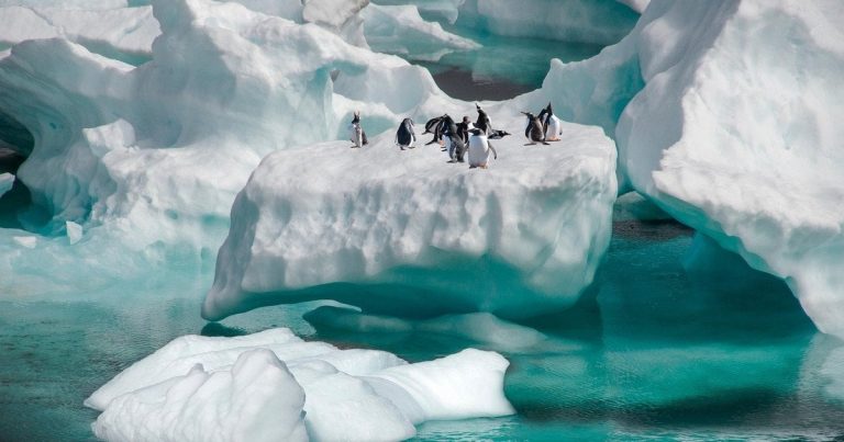 Під Антарктидою є “гравітаційна діра” від часів динозаврів — її вплив на клімат приголомшує