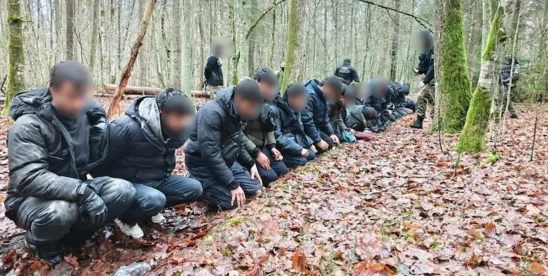 Польща виявила таємні підземні тунелі на кордоні з Білоруссю