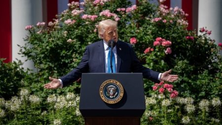 З’явилася помилково. Трамп опублікував відео з Бараком та Мішелью Обамою в образі мавп