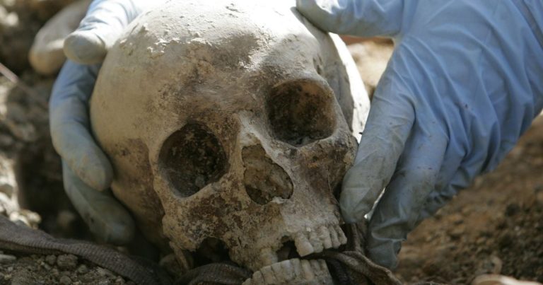 Купили землю для будинку на пенсії — і натрапили на моторошну знахідку: що сталося