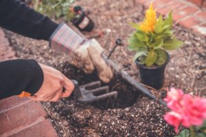 Садівники мають встигнути до морозів: які 5 робіт не варто відкладати на листопад Осінні роботи в саду / © unsplash.com