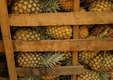 Ананас можна їсти при проблемах із нирками, але є важливе обмеження Ананас / © pexels.com