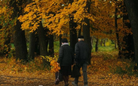 Жовтень в Україні буде без різких холодів: синоптики прогнозують до +12 градусів у середньому Погода / Фото з відкритих джерел