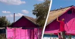Рожевий будинок / Фото з відкритих джерел
